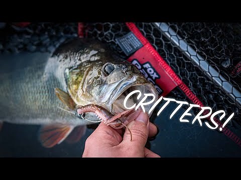 LURE FISHING WITH CREATURE BAITS: How to fish with creature baits using the Fox Rage Critter