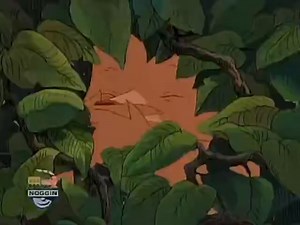 little bear 第一季1-3集全