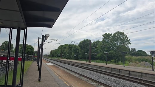 Siemens eurosprinter fra DB cargo scandinavia med godstog mod Sverige på Borup station #eurosprinter