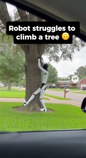 Sad Robot Cannot Climb a Tree