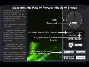 Photosynthesis Investigation Simulation