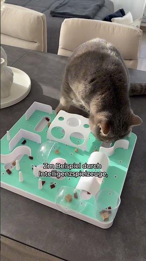 That's why keeping cats in a species-appropriate manner is so important 🐱📚