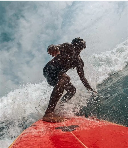 Twin lover - retro fish ☀️🌴🌊🤙🏽 #surfing #beachvibes #ocean #surf #travel