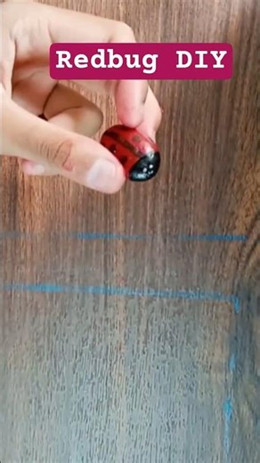 🐞 *Red Bug by Stone | Easy DIY Craft for Beginners #shorts#viral #trending #mygalleria