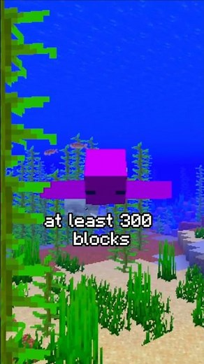 HARDEST Seed in MInecraft! Minecraft Seed Reviewer! Java Edition 1.20