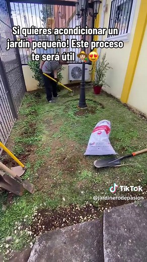 Transforma tu Jardín Pequeño con estos Sencillos Pasos