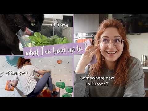 What’s in My Tea & Coffee Cabinet? 🫖 Climbing Update, Planting Herbs, & My Next European Adventure!