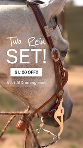 6.6K views · 82 reactions | Embrace the tradition of hackamore horses...