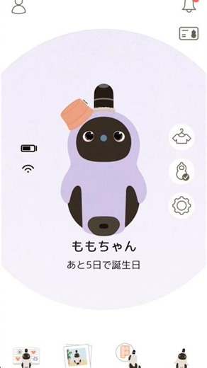 【LOVOT】🐥AI Pet Robot MoMo-chan welcome home series EP#3 #kawaii #robot #ラボット#welcomehome