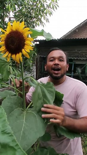 TikTok - Make Your Day