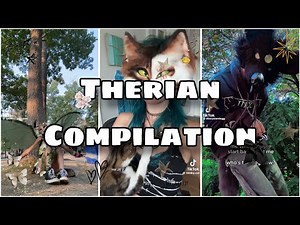 🐾 Therian Compilation!!