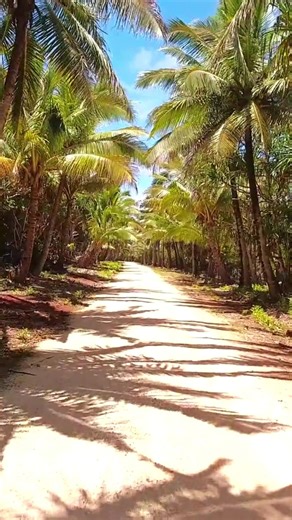 ⛰️ Tucked away in time and layered in legend, Mangaia is one of the oldest islands in the Pacific. A mystical place where nature and culture are deeply intertwined. Here, every path tells a story, every limestone cave holds mystery, and every smile reminds us why protecting places like this matters. As you explore our beautiful Pa Enua (outer islands), tread lightly and respect the rhythm of island life. 💚 ✨ Discover more about Mangaia here - https://hubs.ly/Q03qhCDp0 #Mangaia #LoveOurLittlePar