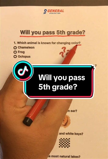 Understanding Color-Changing Animals for Kids