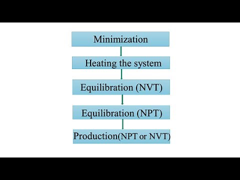 Molecular dynamics simulations - Procedure