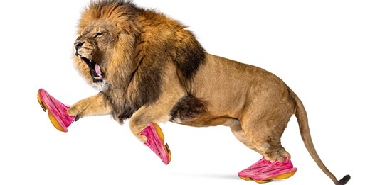 'The lion diet seems to be this year’s take on the paleo/keto/carnivore trend'