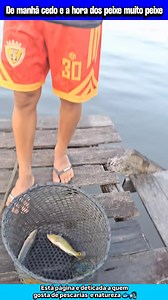 Pegando só dos filé 👌🐟🎣 #peixe #tucunare #fishing #pescaria #pesqueiro #pesca #pescaesportiva #bassfishing #pescacaipira #pesca #pescaria #pescaesportiva #pescador #pescadores #pescariaesportiva #peixeassado | pesca