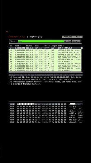 Termshark - Wireshark But in Your Terminal 🦈 #shorts #coding #terminal