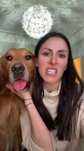 He chonk | Hugo and Ursula