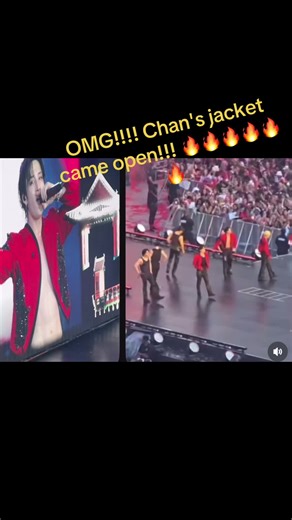 Bang Chan's Stylish Roxy Jacket Reveal