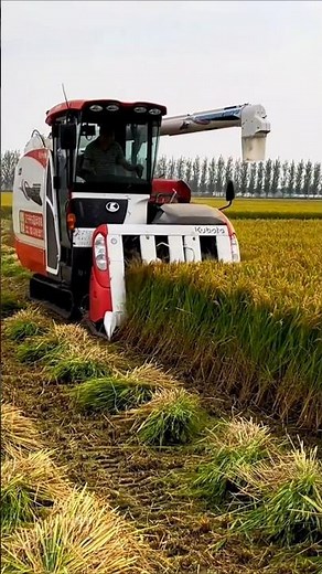 Kubota ER595 paddy harvester machine 🌾 #shorts #kubota #combineharvester