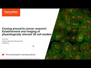 Establishment and imaging of physiologically relevant 3D cancer cell models