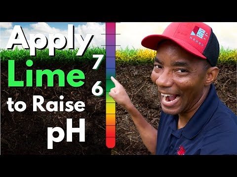 Increasing pH of your lawn with Lime