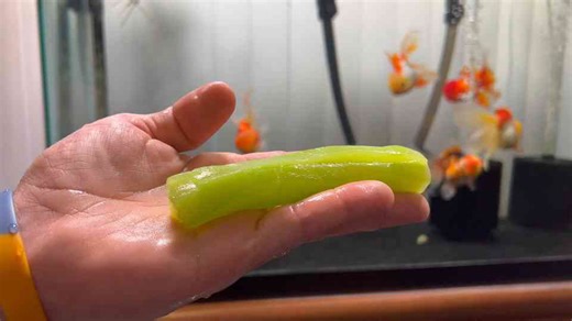 What Happens When a Goldfish Meets a Green Block? | Calming 4K Aquarium