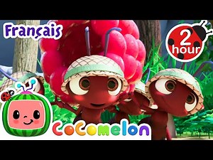 Les Fourmis Marchent | Chansons pour Bébés | CoComelon Le coin des Animaux de JJ - Comptines