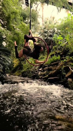 Aerial Acrobatics in a Tropical Paradise