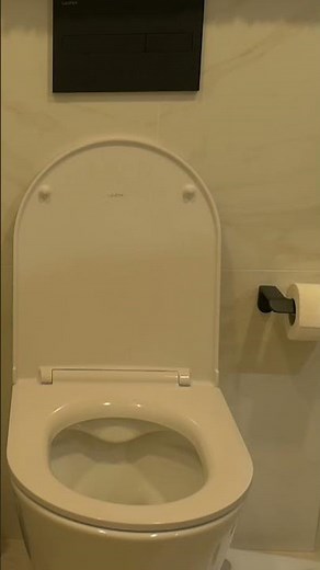 WC Flush Sound Effect