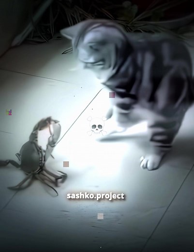 Fastest Reflex Cat Compilation for Animal Lovers