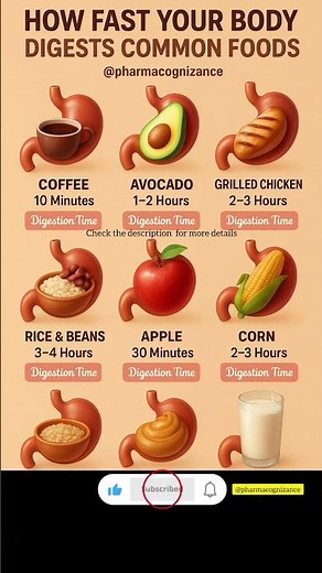 How Fast Your Body Digests These Common Foods | @pharmacognizance Holistic Health Guide