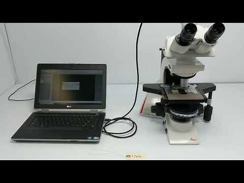 Leica DM2500 LED Phase Contrast Microscope [BOSTONIND] - 17641