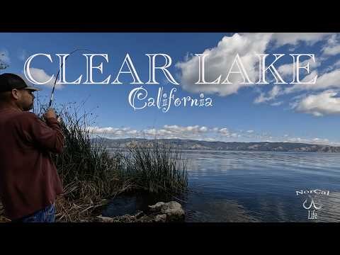 Bass Fishing Clear lake California (Bass Fishing)