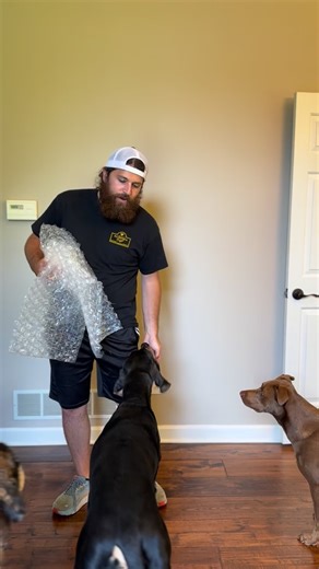 14K views · 2.4K reactions | My favorite firework trick! Think of...