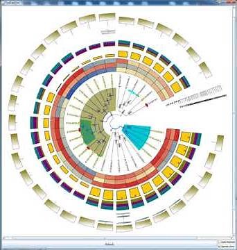 TBtools (a Toolkit for Biologists integrating various biological data handling tools)