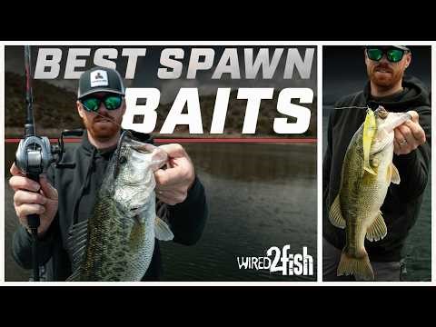 Best Baits to Find Spring Spawning Bass Fast