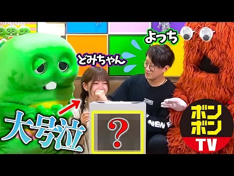 【ボンボンTVよっち】撮影中どみちゃんが箱の中身に大号泣しちゃうドッキリ【50万人突破記念コラボ】