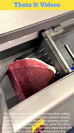 Meat Slicer Machine : Thin Beef Slice Cutting