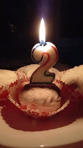 clip-4033580359-stock-video-burning-number-2-birthday