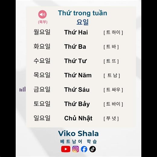 🥕베트남어 l 북부 발음 l 요일 배우기 🇻🇳
