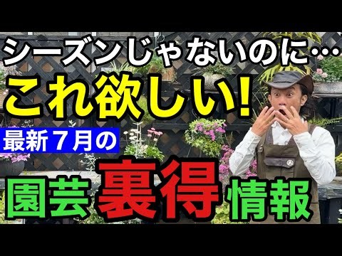 【最新入荷情報】みたら欲しくなるので要注意して下さい！！！ 【園芸超人カーメン君】