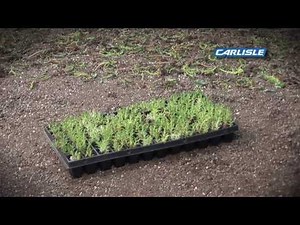 Roof Garden Installation Video