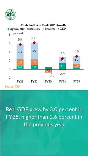 Annual Report on the State of Pakistan’s Economy for 2024-25