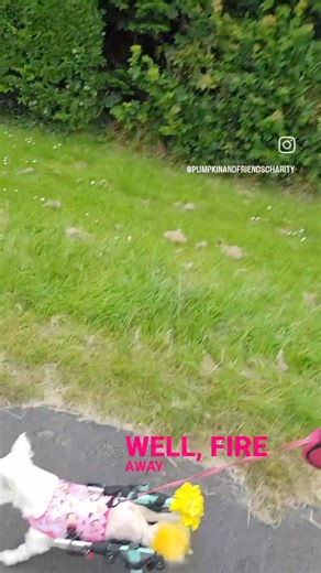 117K views · 10K reactions | What doesn't kill you, makes you...