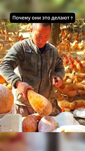 Зачем они это делают? Понимание мотивов