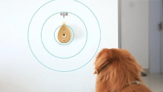 b62cbe9ed1ea4837b1f6349da7da4494