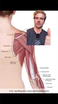 Popping Shoulder? This is for you!