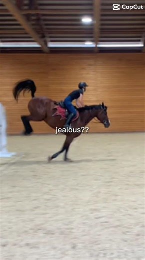 All vids are old aside from the first one😭👍🏼