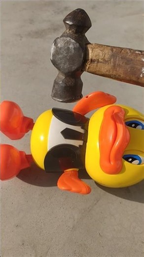 Remote control amazing duck super toy testing